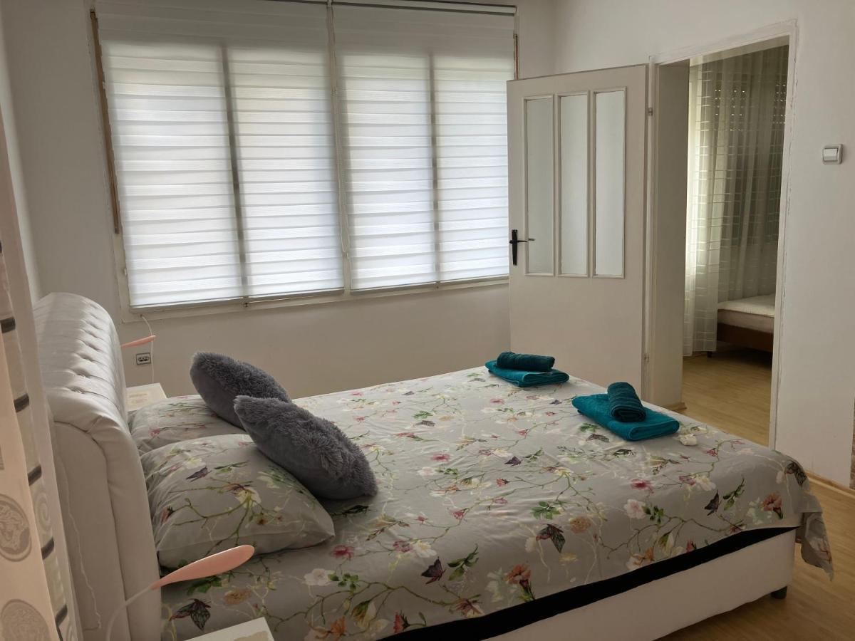 Veliko Gradište Apartamani Evelin מראה חיצוני תמונה